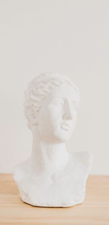 bust, sculpture, aesthetics Wallpaper 1080x2220