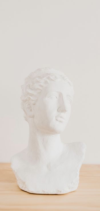 bust, sculpture, aesthetics Wallpaper 1440x3040