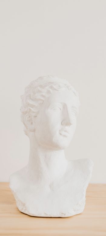 bust, sculpture, aesthetics Wallpaper 1440x3200