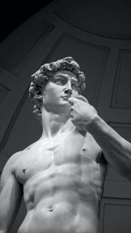 David, bust, sculpture Wallpaper 640x1136