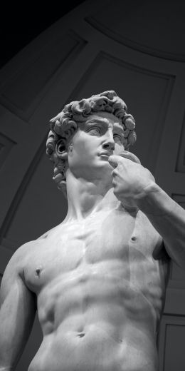 David, bust, sculpture Wallpaper 720x1440