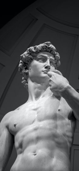 David, bust, sculpture Wallpaper 1080x2340