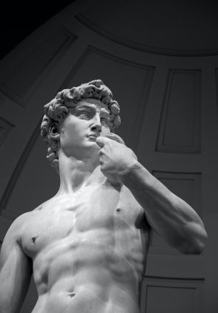 David, bust, sculpture Wallpaper 1640x2360