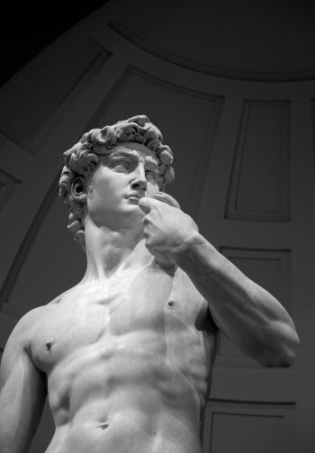 David, bust, sculpture Wallpaper 1640x2360