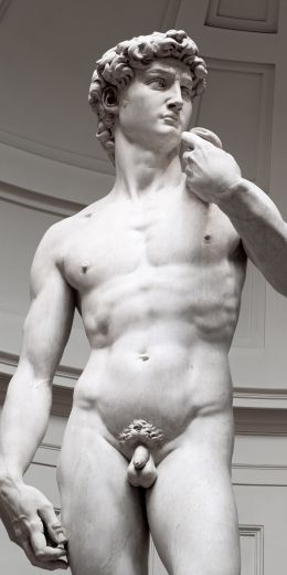 David, sculpture, aesthetics Wallpaper 720x1440