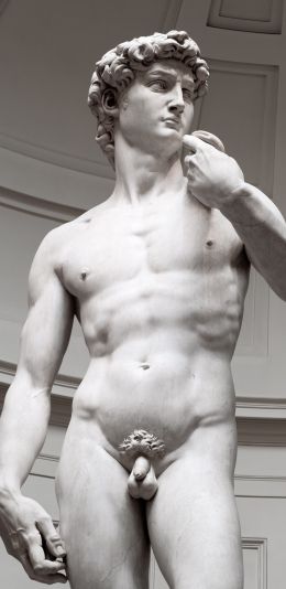 David, sculpture, aesthetics Wallpaper 1440x2960