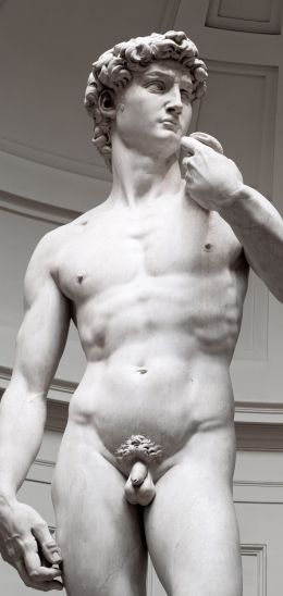 David, sculpture, aesthetics Wallpaper 1440x3040