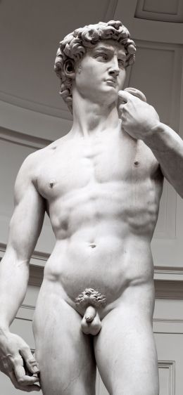 David, sculpture, aesthetics Wallpaper 828x1792