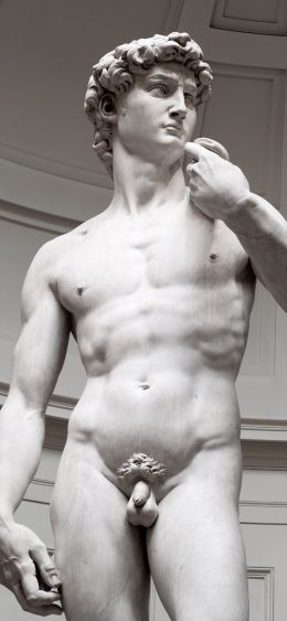 David, sculpture, aesthetics Wallpaper 1080x2340