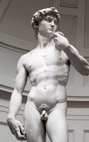Обои 1752x2800 Давид, скульптура, эстетика