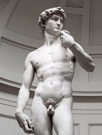 Обои 1668x2224 Давид, скульптура, эстетика