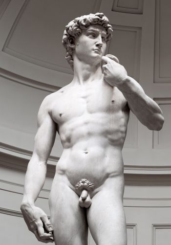 David, sculpture, aesthetics Wallpaper 1668x2388