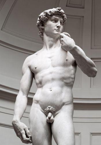 David, sculpture, aesthetics Wallpaper 1640x2360