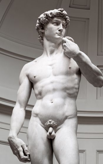 David, sculpture, aesthetics Wallpaper 1752x2800
