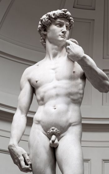 Обои 1600x2560 Давид, скульптура, эстетика