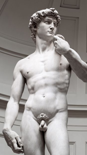 David, sculpture, aesthetics Wallpaper 640x1136