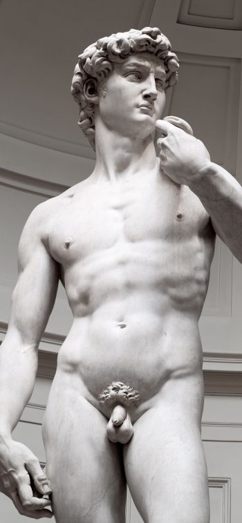 Обои 828x1792 Давид, скульптура, эстетика