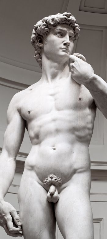 David, sculpture, aesthetics Wallpaper 1080x2400