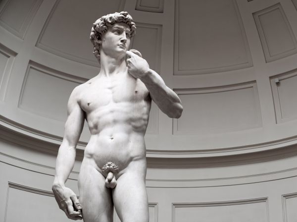 David, sculpture, aesthetics Wallpaper 800x600