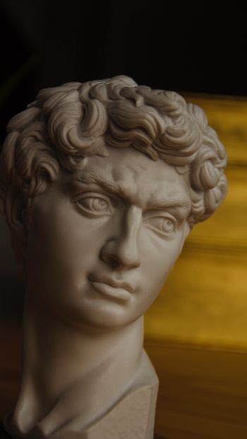 David, bust, sculpture Wallpaper 1440x2560