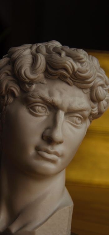 David, bust, sculpture Wallpaper 828x1792