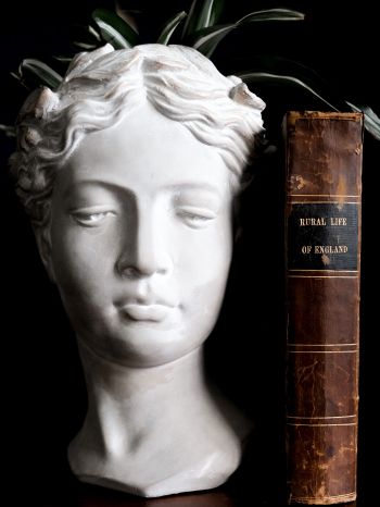 Обои 1536x2048 скульптура, эстетика, книга
