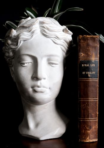 Обои 1668x2388 скульптура, эстетика, книга