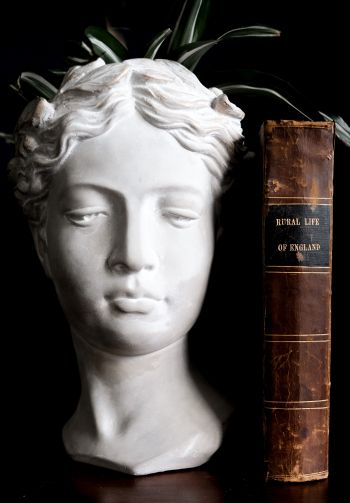 Обои 1640x2360 скульптура, эстетика, книга