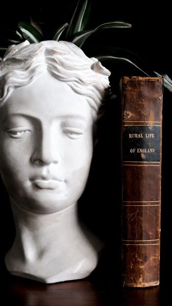 Обои 750x1334 скульптура, эстетика, книга