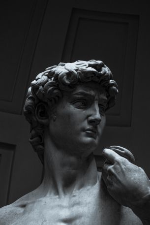 David, bust, sculpture Wallpaper 640x960