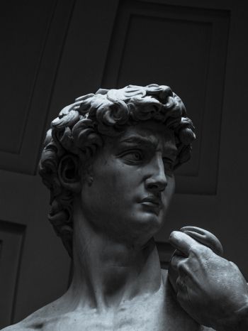 David, bust, sculpture Wallpaper 1620x2160