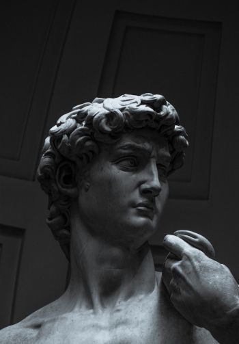 David, bust, sculpture Wallpaper 1640x2360