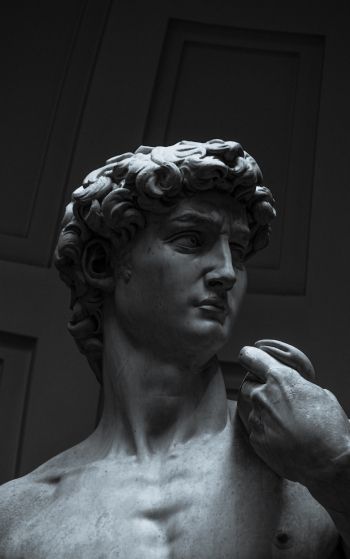 David, bust, sculpture Wallpaper 1752x2800