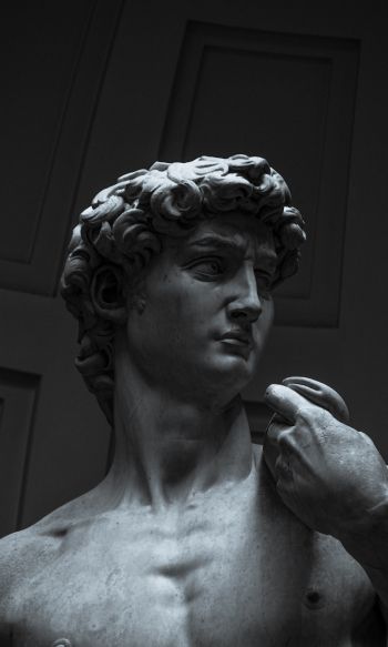 David, bust, sculpture Wallpaper 1200x2000