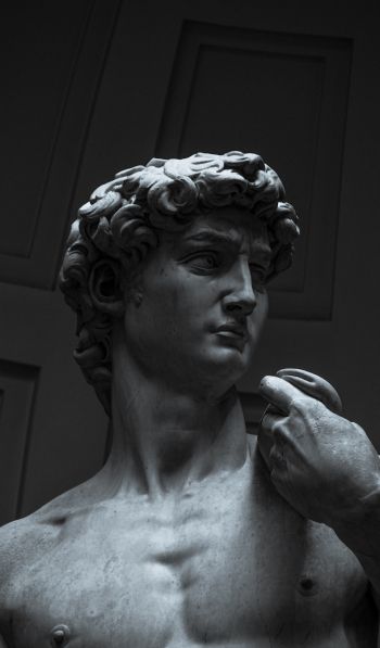 David, bust, sculpture Wallpaper 600x1024
