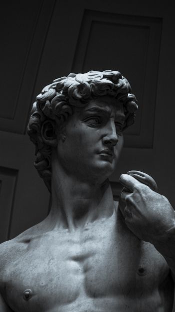 David, bust, sculpture Wallpaper 640x1136