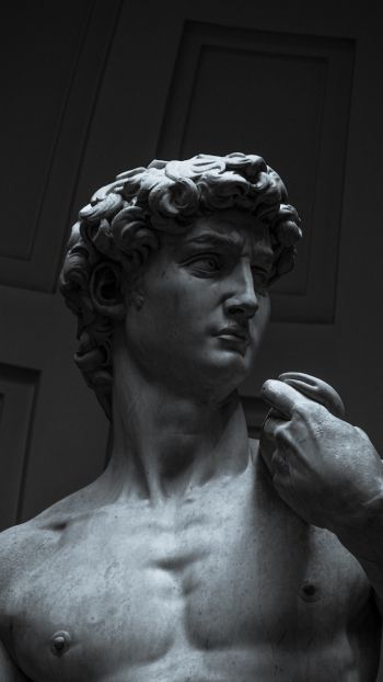 Обои 1440x2560 Давид, бюст, скульптура