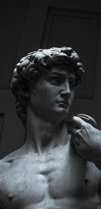 Обои 1440x2960 Давид, бюст, скульптура