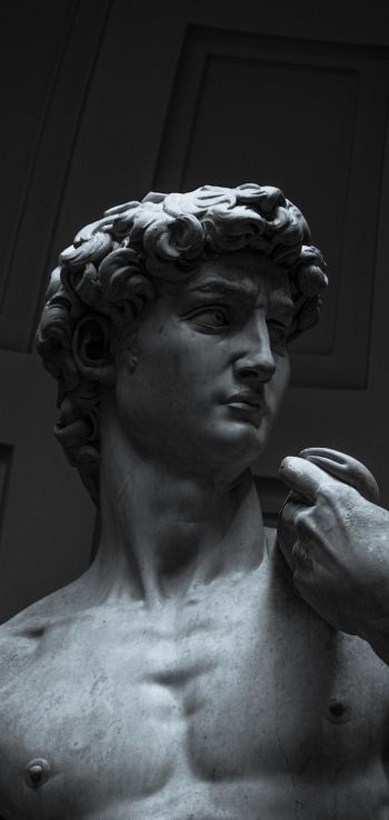 Обои 1440x3040 Давид, бюст, скульптура