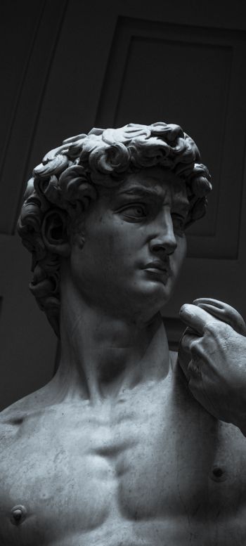 David, bust, sculpture Wallpaper 1440x3200