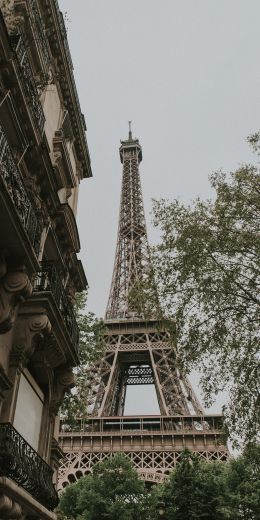 eiffel tower, Paris, France Wallpaper 720x1440