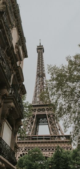 eiffel tower, Paris, France Wallpaper 1440x3040