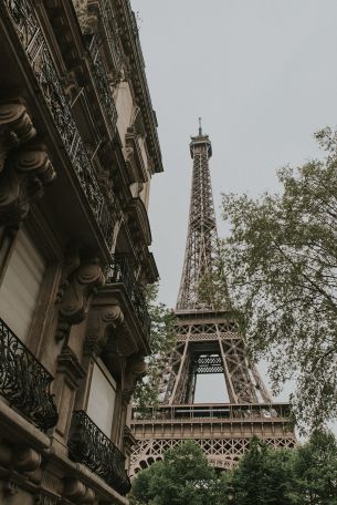 eiffel tower, Paris, France Wallpaper 2543x3807