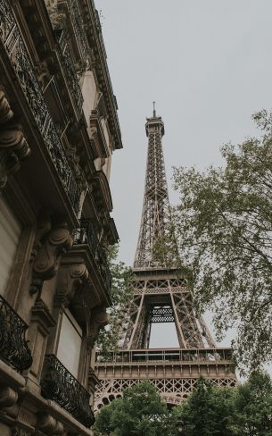 eiffel tower, Paris, France Wallpaper 1600x2560