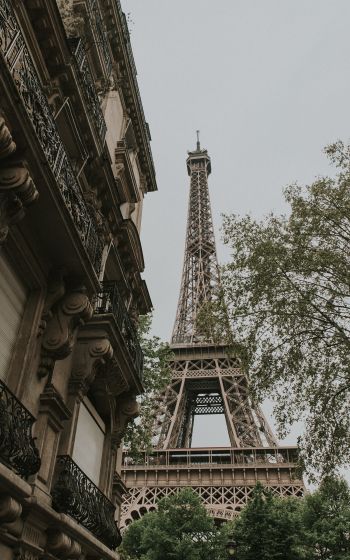 Обои 800x1280 Эйфелева башня, Париж, Франция
