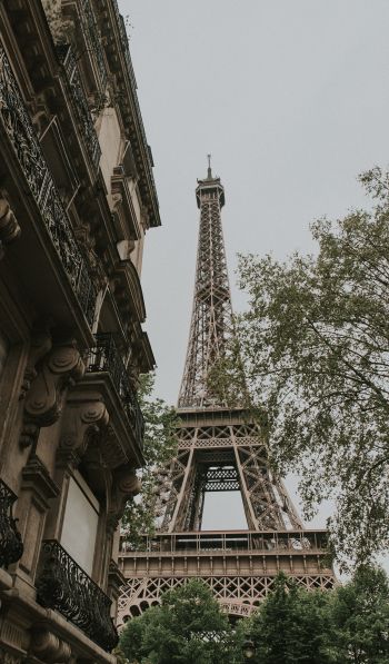 eiffel tower, Paris, France Wallpaper 600x1024