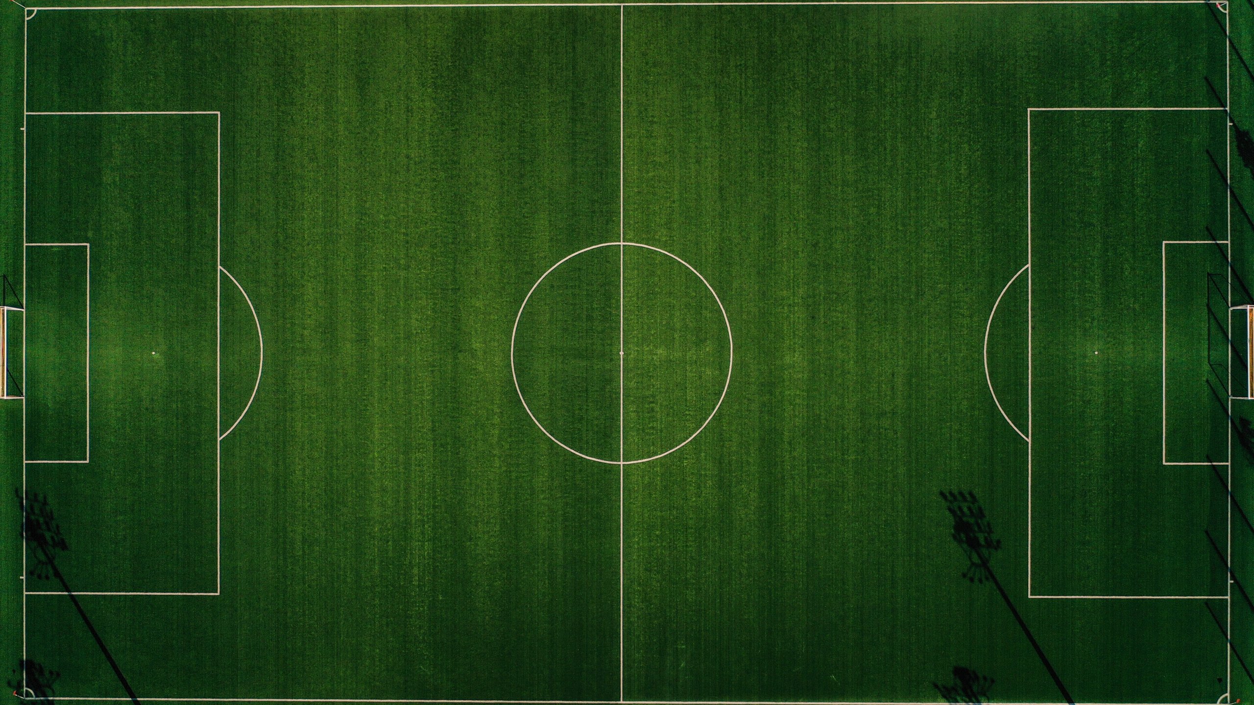 FIFA Qatar 2022 Soccer field