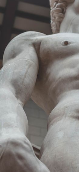 David, sculpture, aesthetics Wallpaper 1080x2340