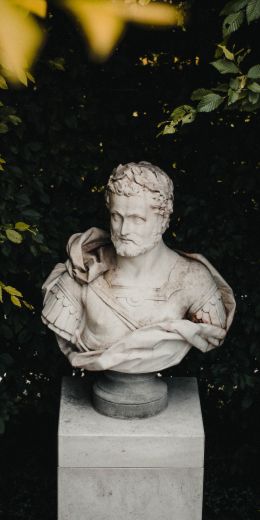 bust, sculpture, aesthetics Wallpaper 720x1440