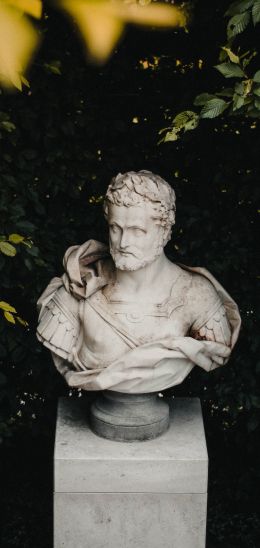 bust, sculpture, aesthetics Wallpaper 1440x3040